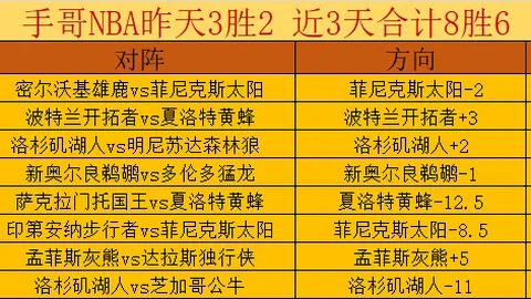 阿尔梅勒城客场挑战前景分析